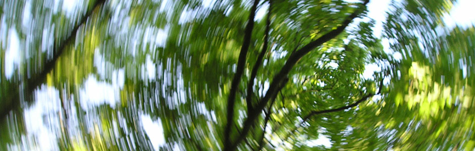 vertigo nedir