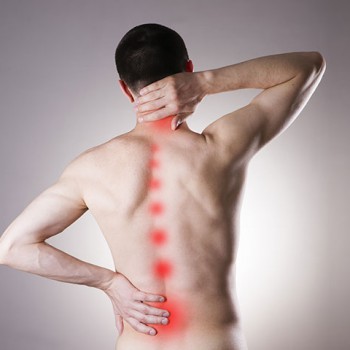 Reasons for back pain and unknown solutions. Dr. Emel Gokmen