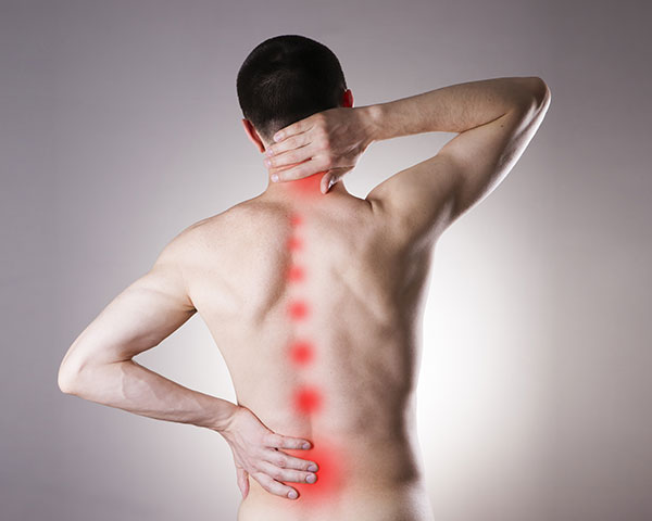 Reasons for back pain and unknown solutions. Dr. Emel Gokmen